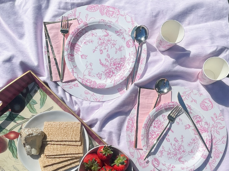 Picnic Kit! Blushing Moment